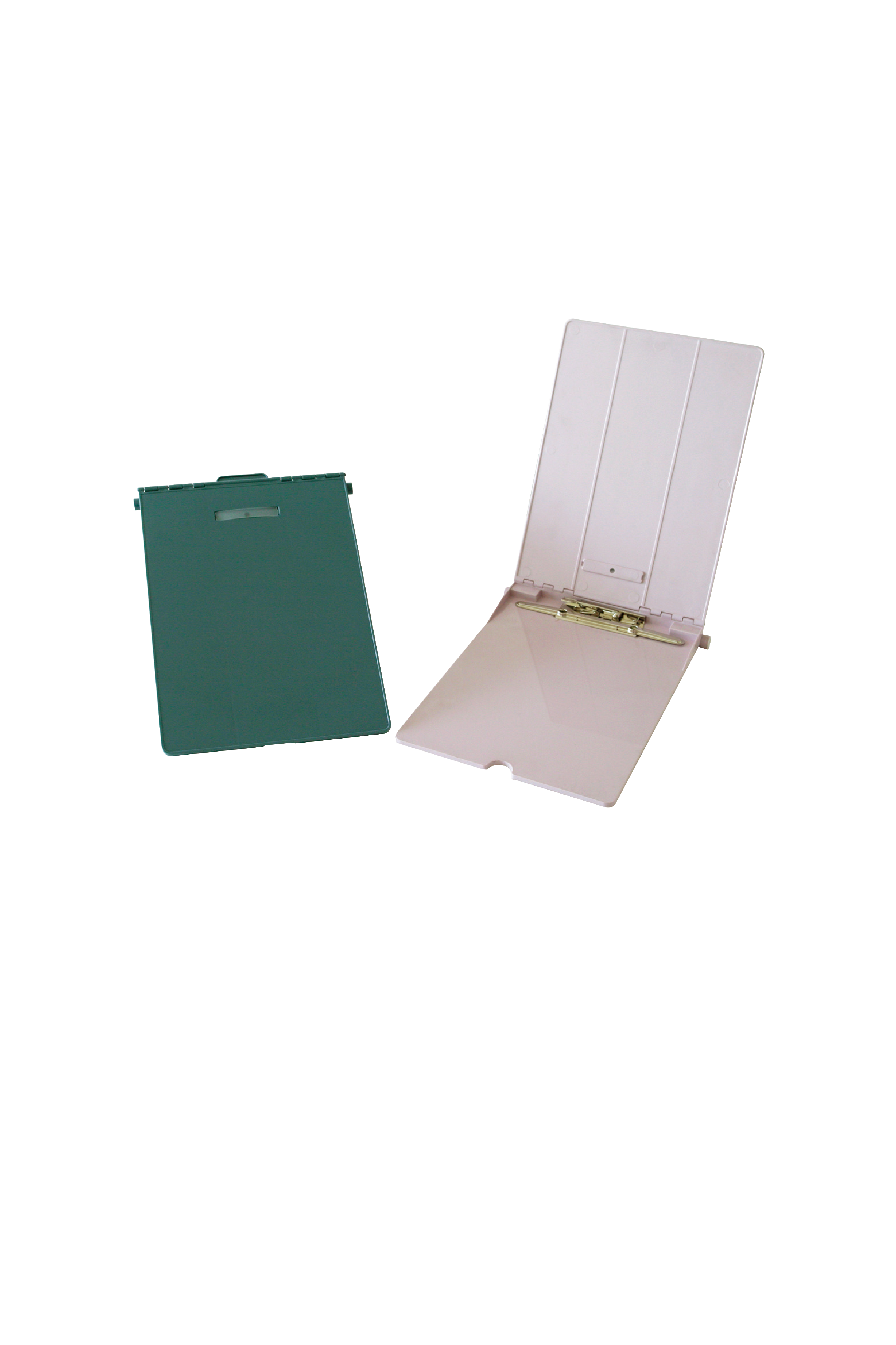 BL 01 Medical Record(中文)